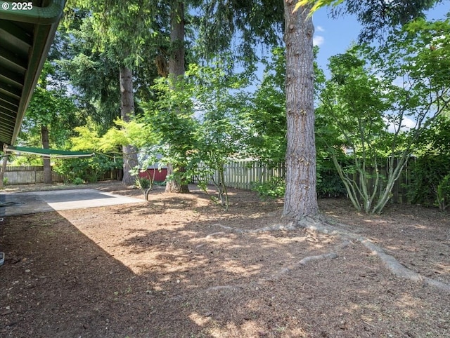14108 NE 94th St, Vancouver, WA 98682 - fenced backyard with a patio area