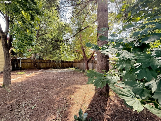 14108 NE 94th St, Vancouver, WA 98682 - view of fenced backyard