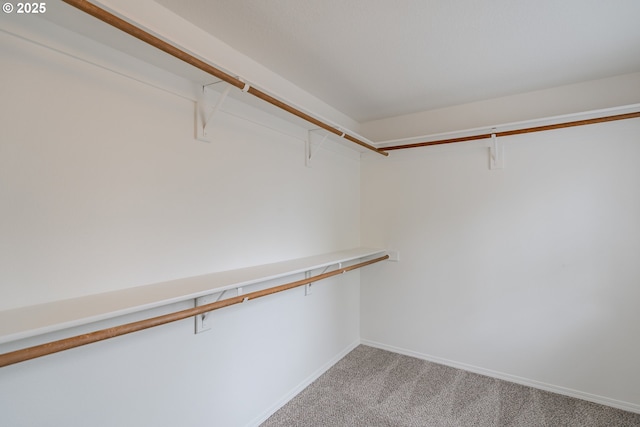 17474 SW Sarala St, Beaverton, OR 97007 - spacious closet featuring light carpet