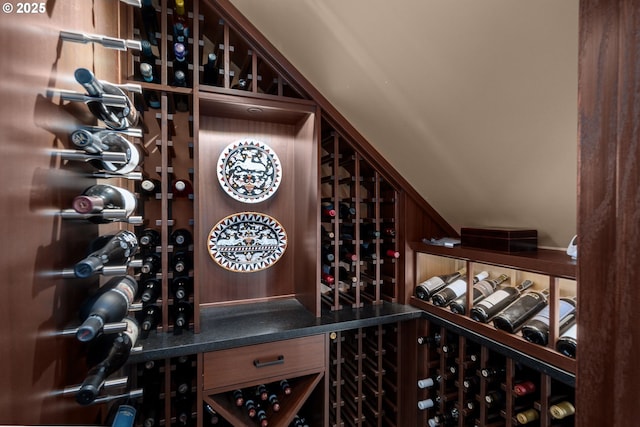 wine room with vaulted ceiling