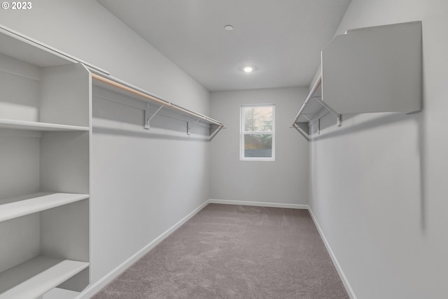 walk in closet featuring light carpet