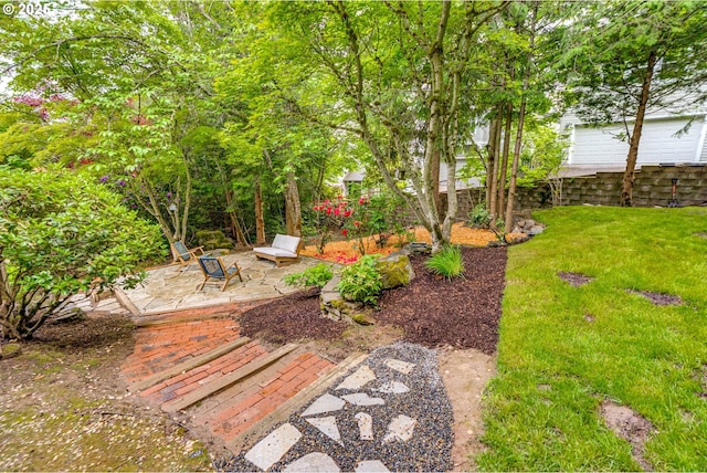 view of green lawn featuring a patio