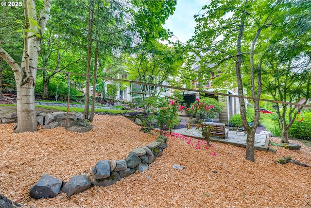 view of yard with a patio area