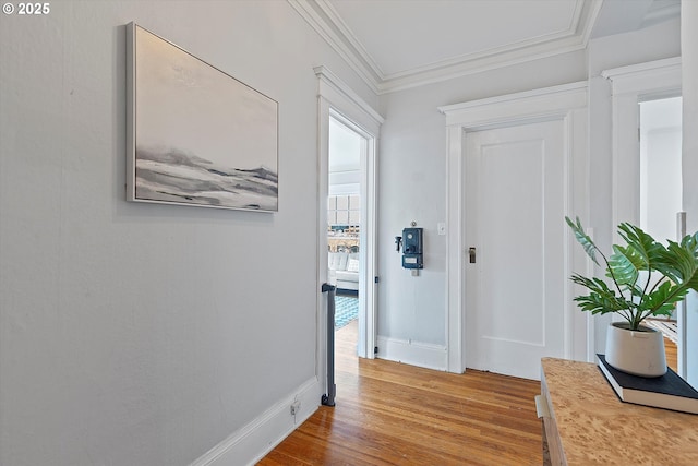 hallway featuring crown molding and light hardwood / wood-style floors