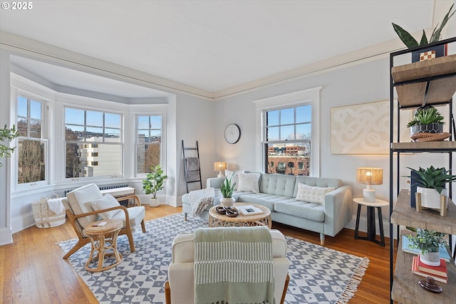 living room featuring hardwood / wood-style flooring