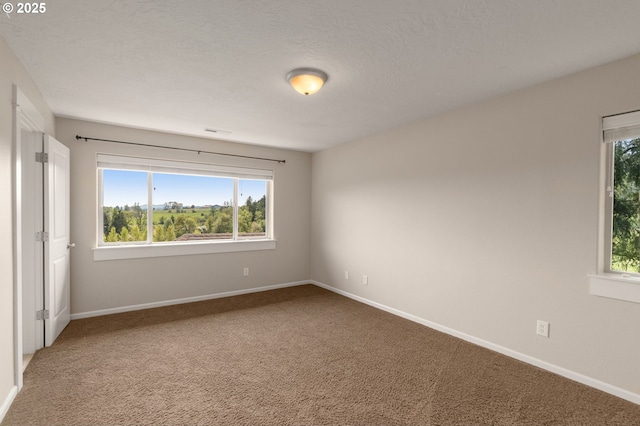 spare room with baseboards, plenty of natural light, and carpet