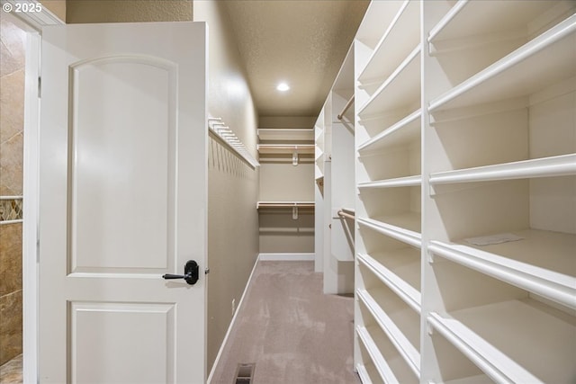 spacious closet with carpet flooring