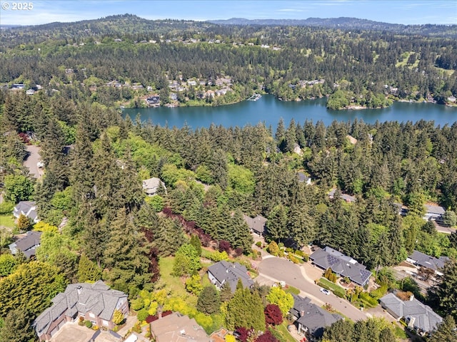 aerial view featuring a water view, a view of trees, and a residential view