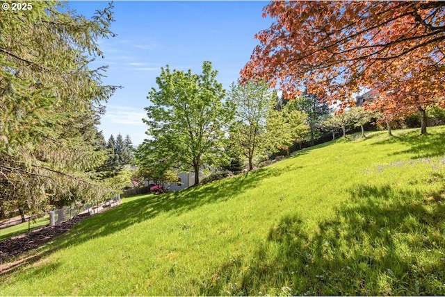 view of yard
