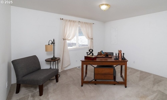 view of carpeted home office