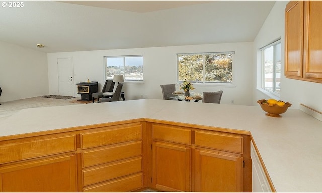 kitchen featuring plenty of natural light and kitchen peninsula