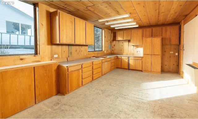 kitchen with wood ceiling and wood walls