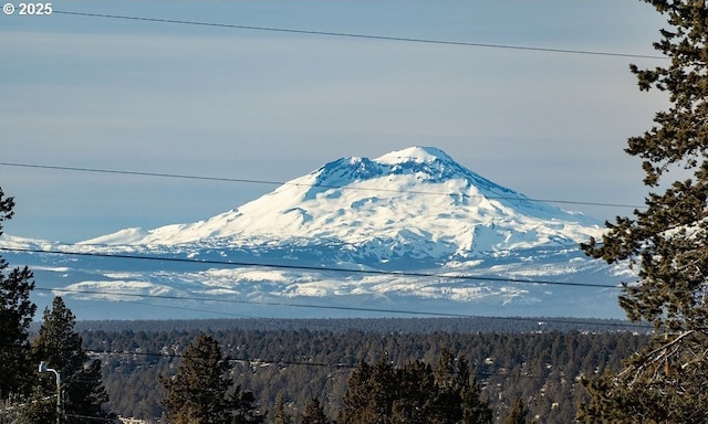 property view of mountains