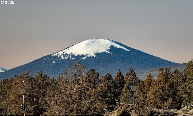 view of mountain feature