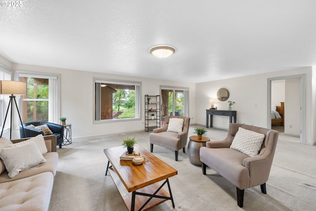 690 N Shepherd Rd, Washougal, WA 98671 - living area featuring light colored carpet, baseboards, and a textured ceiling