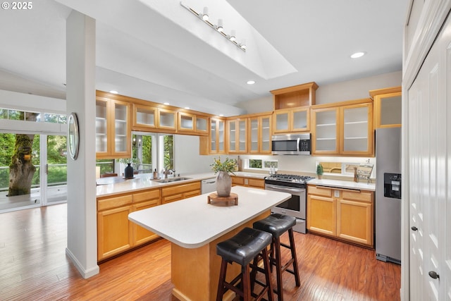 690 N Shepherd Rd, Washougal, WA 98671 - kitchen with appliances with stainless steel finishes, plenty of natural light, a sink, light countertops, and recessed lighting