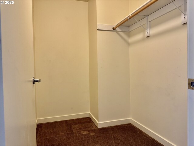 821 NW 11th Ave Unit 315, Portland, OR 97209 - spacious closet with dark colored carpet