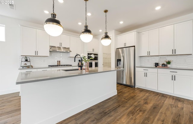 kitchen featuring a sink, dark wood finished floors, under cabinet range hood, and stainless steel appliances