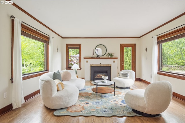 3622 NE Hassalo St, Portland, OR 97232 - living area featuring ornamental molding, a glass covered fireplace, wood finished floors, and healthy amount of natural light