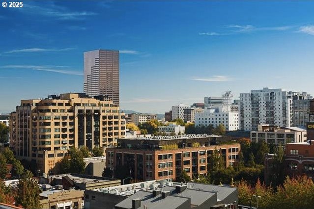 1314 NW Irving St Unit 613, Portland, OR 97209 - city view