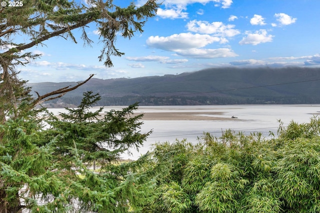 property view of mountains featuring a water view