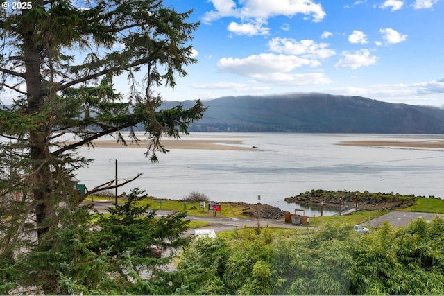 property view of water featuring a mountain view