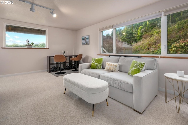 living area featuring track lighting, baseboards, and carpet flooring