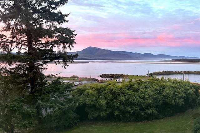 property view of water featuring a mountain view