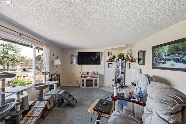 living room with carpet and a textured ceiling