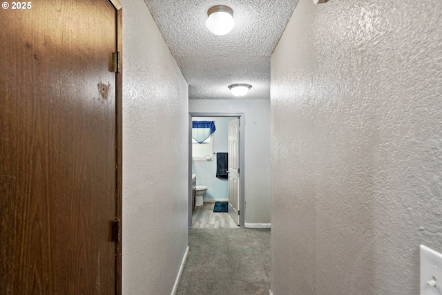 corridor featuring carpet floors and a textured ceiling