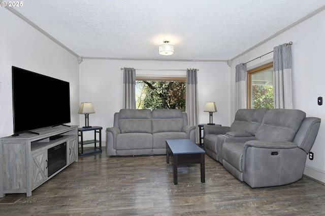 living room featuring a textured ceiling, dark wood finished floors, and ornamental molding