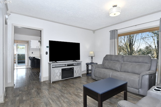 living room with a textured ceiling and dark wood-style flooring