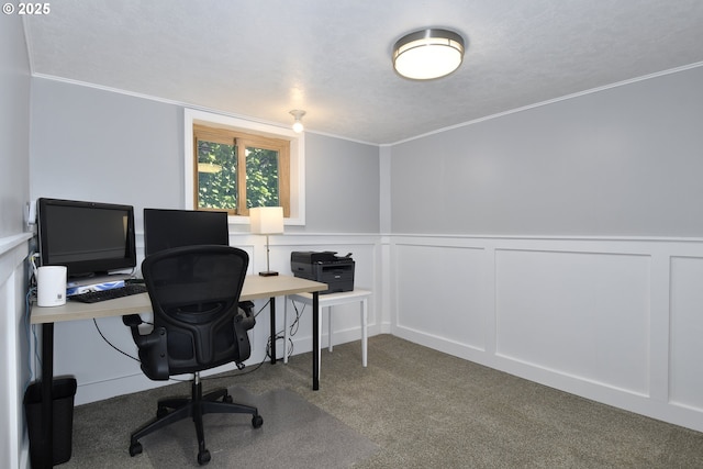 home office with carpet flooring, ornamental molding, a decorative wall, and wainscoting