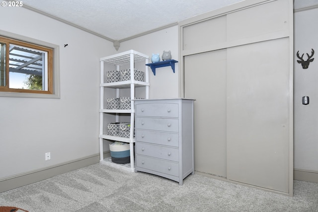 walk in closet with carpet floors