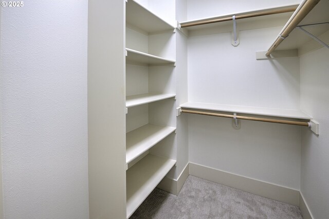 619 SW Foresta Ter, Portland, OR 97225 - walk in closet featuring carpet