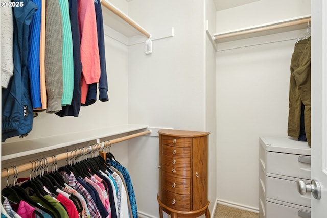 15971 NW Hildago Ln, Portland, OR 97229 - spacious closet with carpet flooring