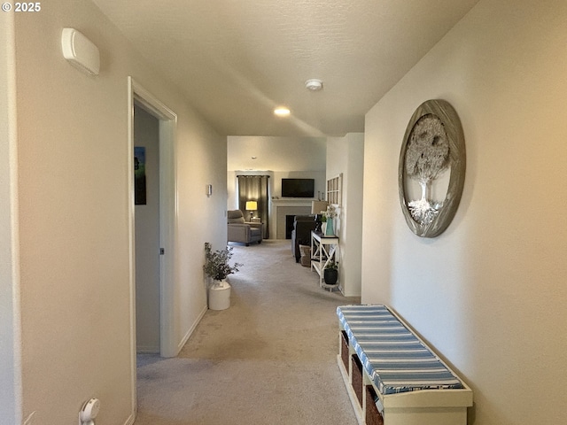 hallway with carpet floors and a textured ceiling