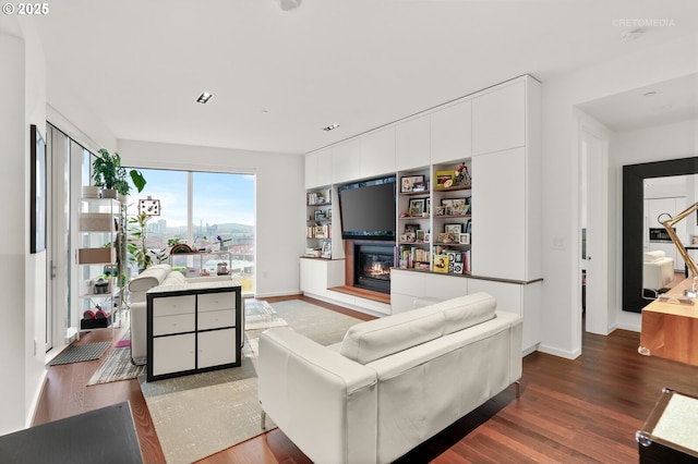 living area with wood finished floors, a glass covered fireplace, and baseboards