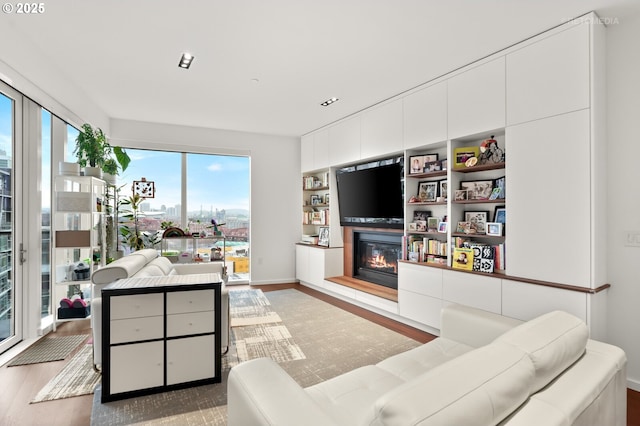 living area featuring baseboards, wood finished floors, and a glass covered fireplace