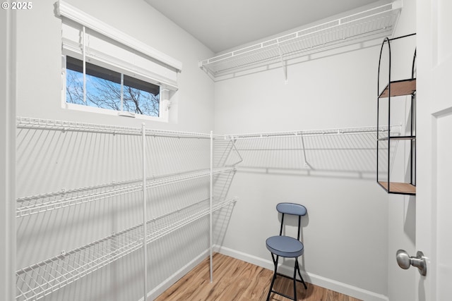 walk in closet with wood-type flooring