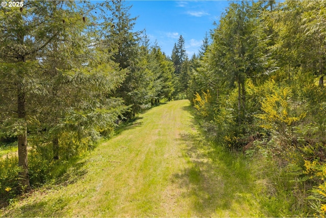 view of yard with a wooded view and driveway