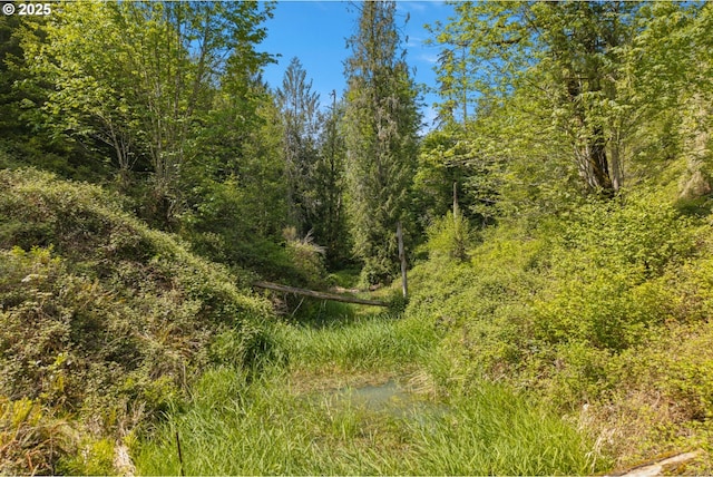 view of nature