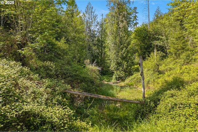 view of tree filled area