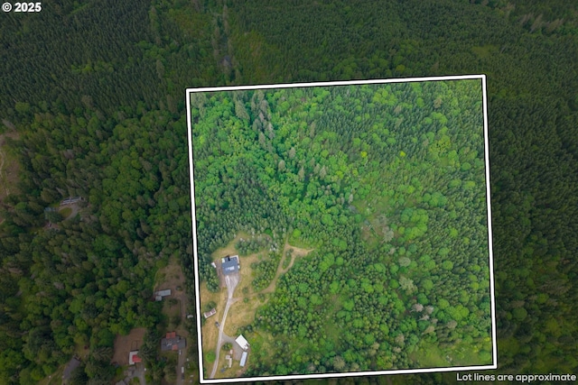 aerial view of property's location featuring a heavily wooded area and property boundaries highlighted