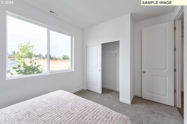 carpeted bedroom with baseboards and a closet
