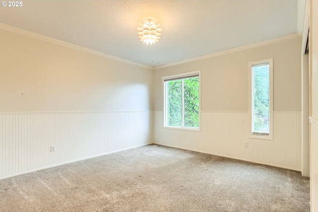 spare room featuring a wainscoted wall, carpet flooring, and ornamental molding