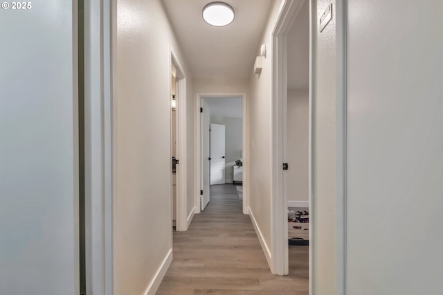 hall featuring light hardwood / wood-style flooring