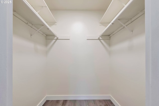 spacious closet with wood-type flooring