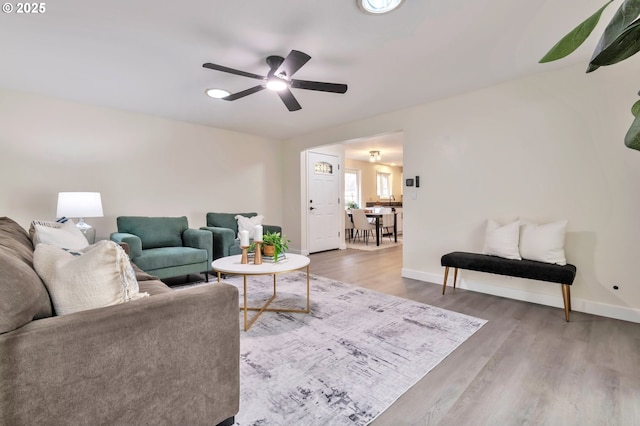 living room featuring ceiling fan and wood-type flooring