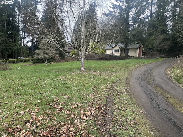 view of road featuring dirt driveway